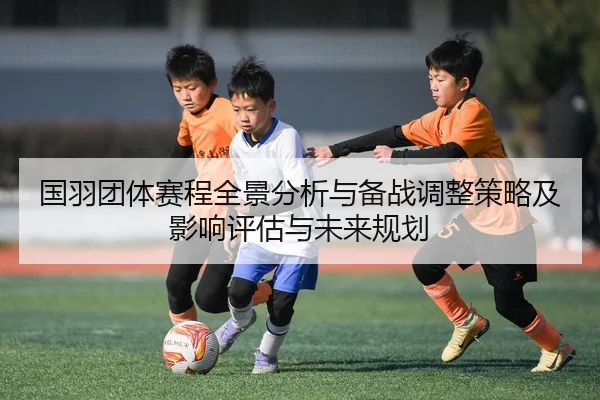 国羽团体赛程全景分析与备战调整策略及影响评估与未来规划